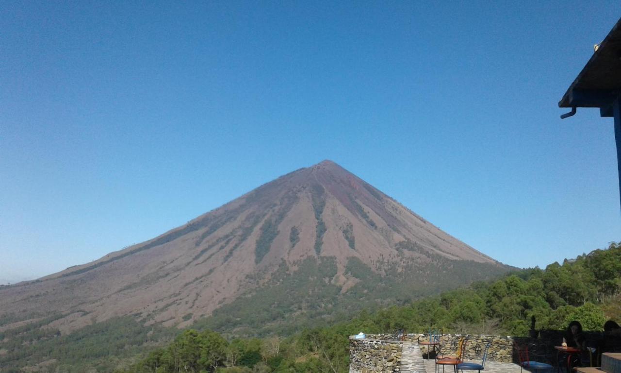 Kristian Homestay Bajawa Dış mekan fotoğraf